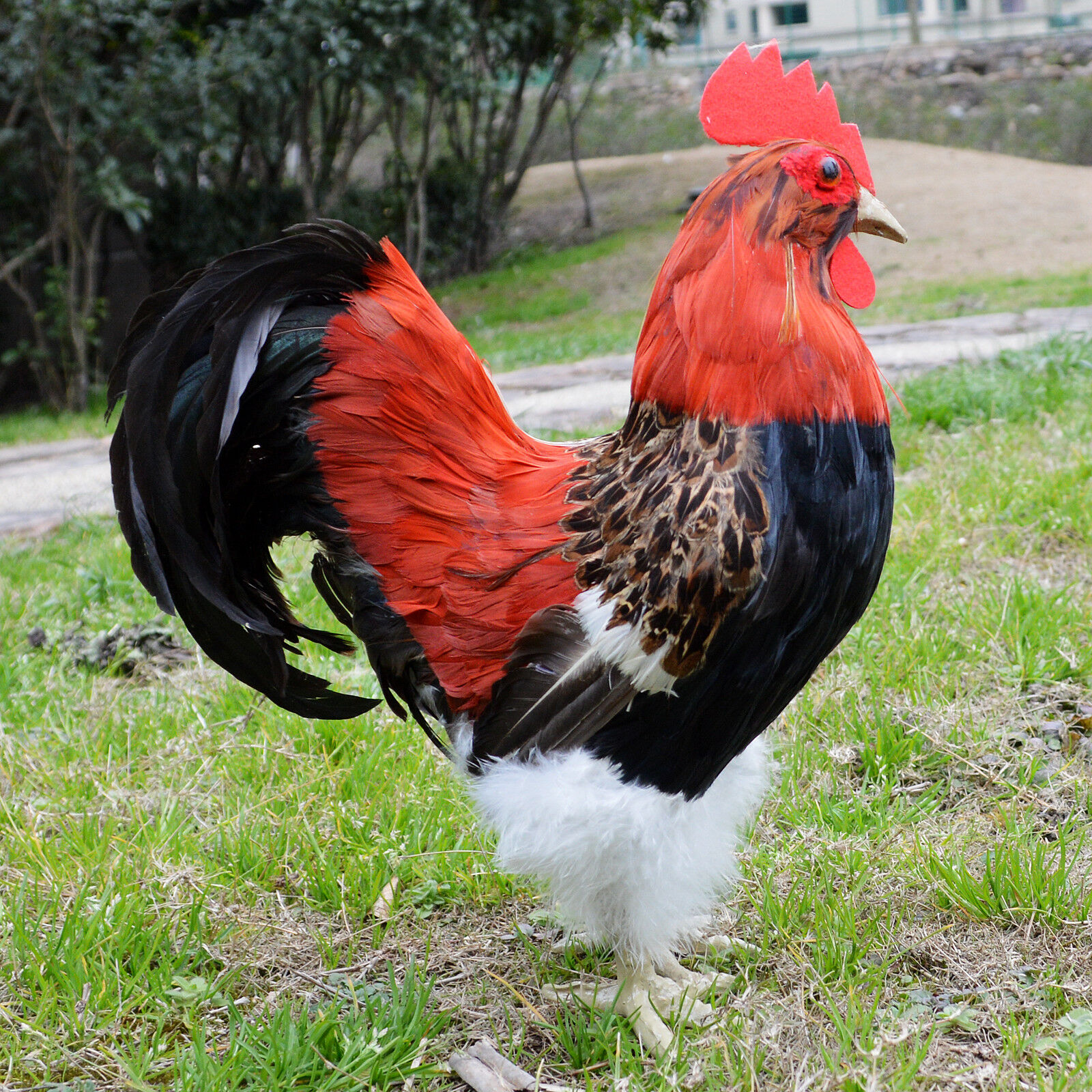 Realistic Lifelike Real Feather Large Rooster Simulation Farm Animal Figurine