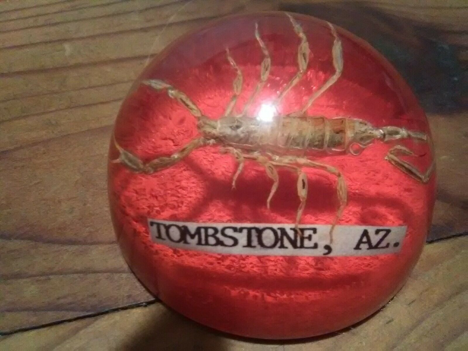 Real Scorpion In Lucite Dome Paperweight Arizona Souvenir Vintage Red Color 2"