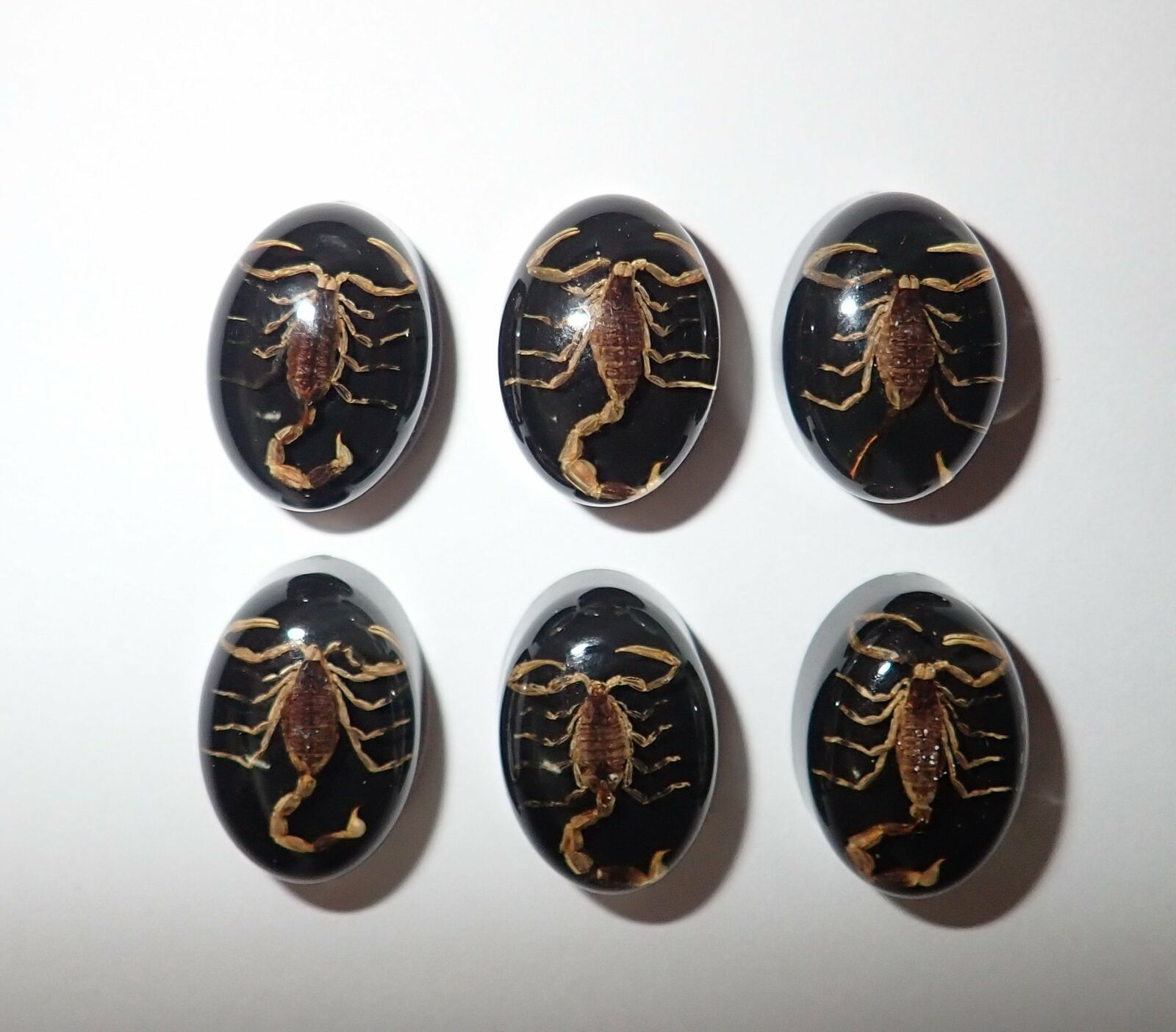 Insect Cabochon Golden Scorpion Oval 12x18 Mm On Black Bottom 100 Pieces Lot